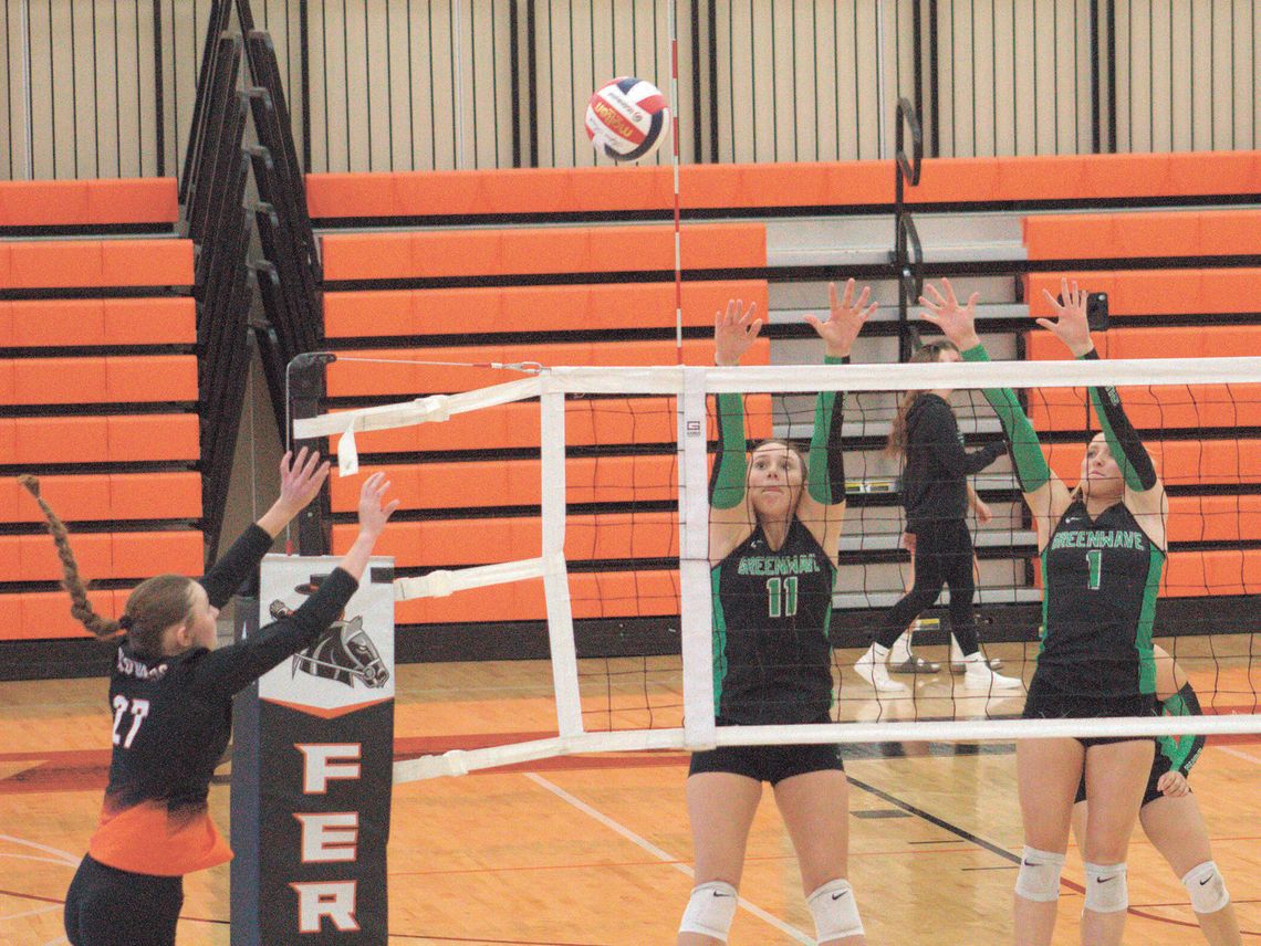 Greenwave looking to bounce back in chase for playoff positioning