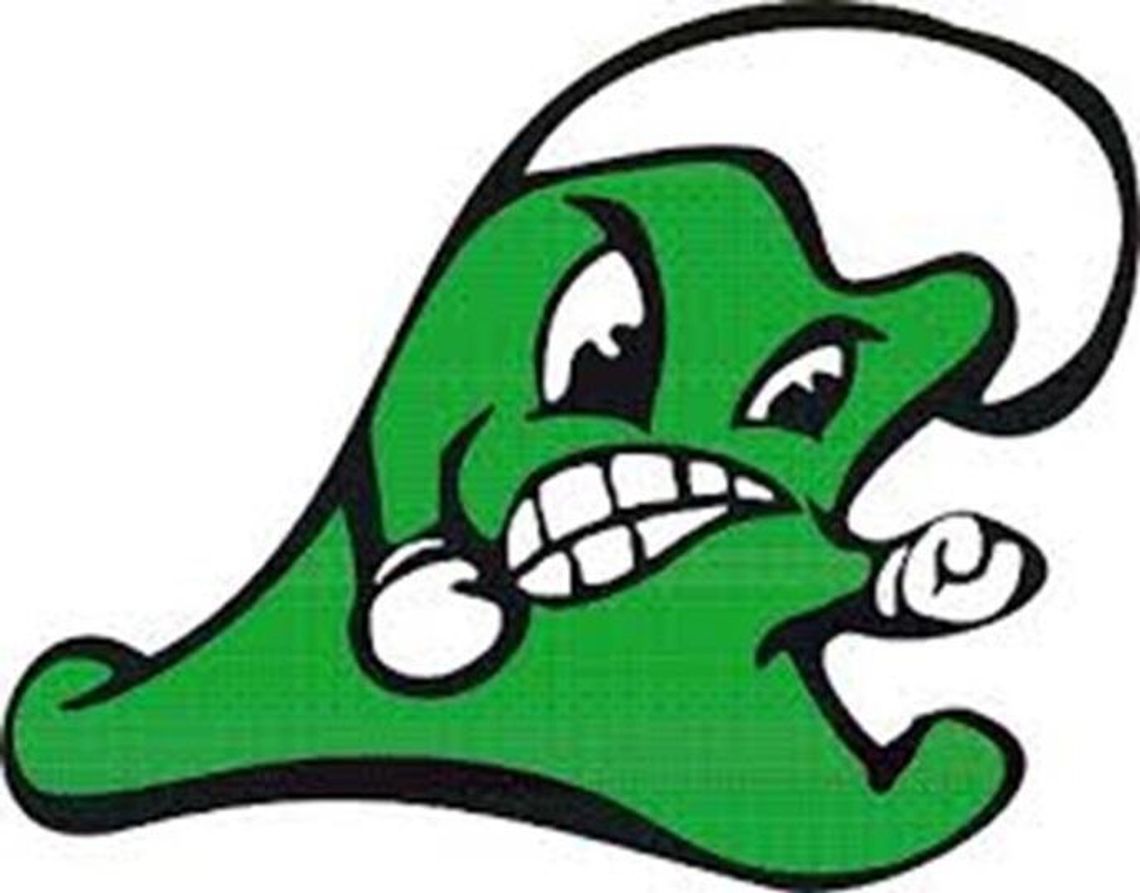 Greenwave to host Elko in region semifinals Friday