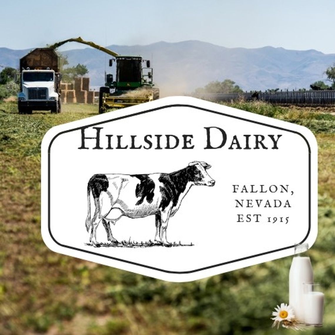 Hillside Dairy Shop Manager