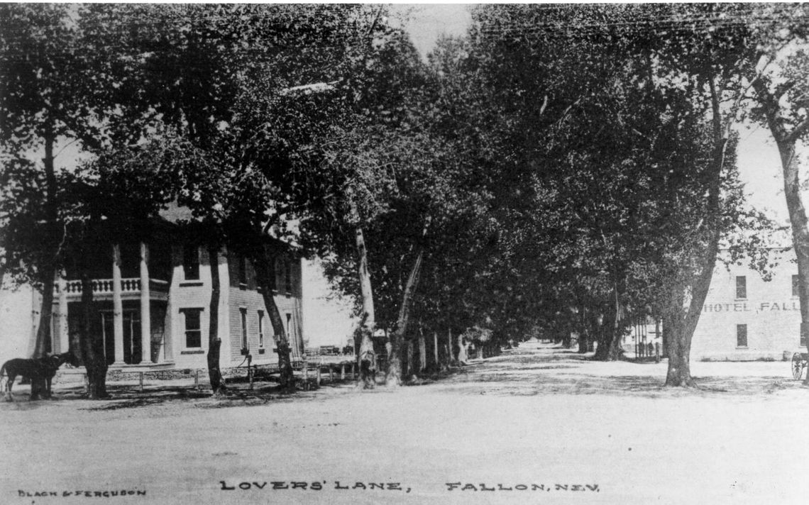 Historic "Lover's Lane" Causes Problems on Maine Street