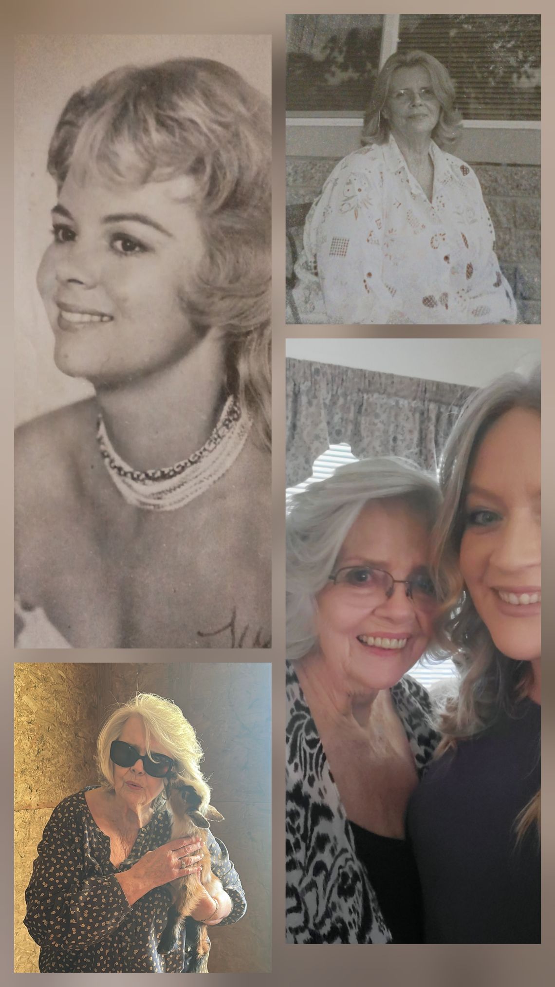 In Memory of Dianna (Mercer) Osterhoudt In Memory of Dianna (Mercer) Osterhoudt