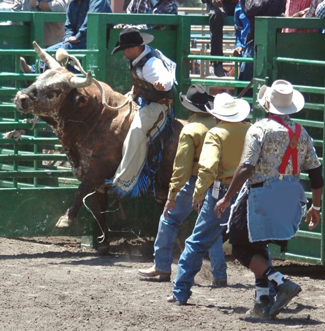 It's Back - de Golyer's Fall Rough Stock Rodeo Returns October 21