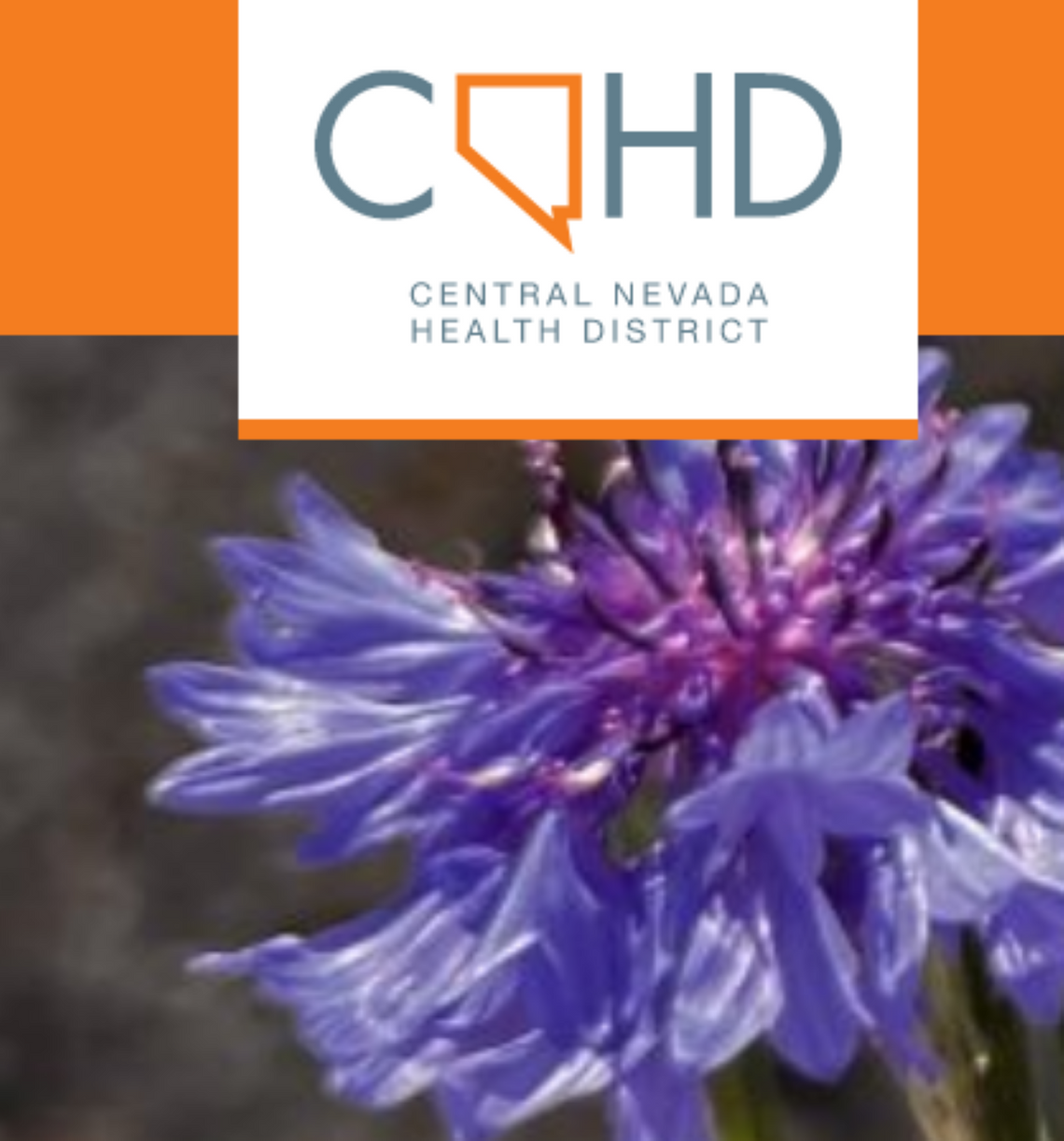 Key Developments in Central Nevada Health District Progress