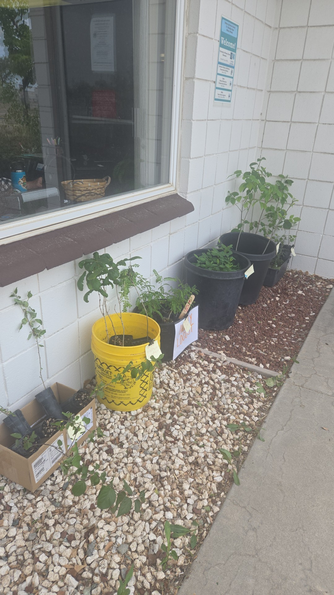 Last Chance to Pre-Order Tree Sale Before April 11 Deadline Last Chance to Pre-Order Tree Sale Before April 11 Deadline