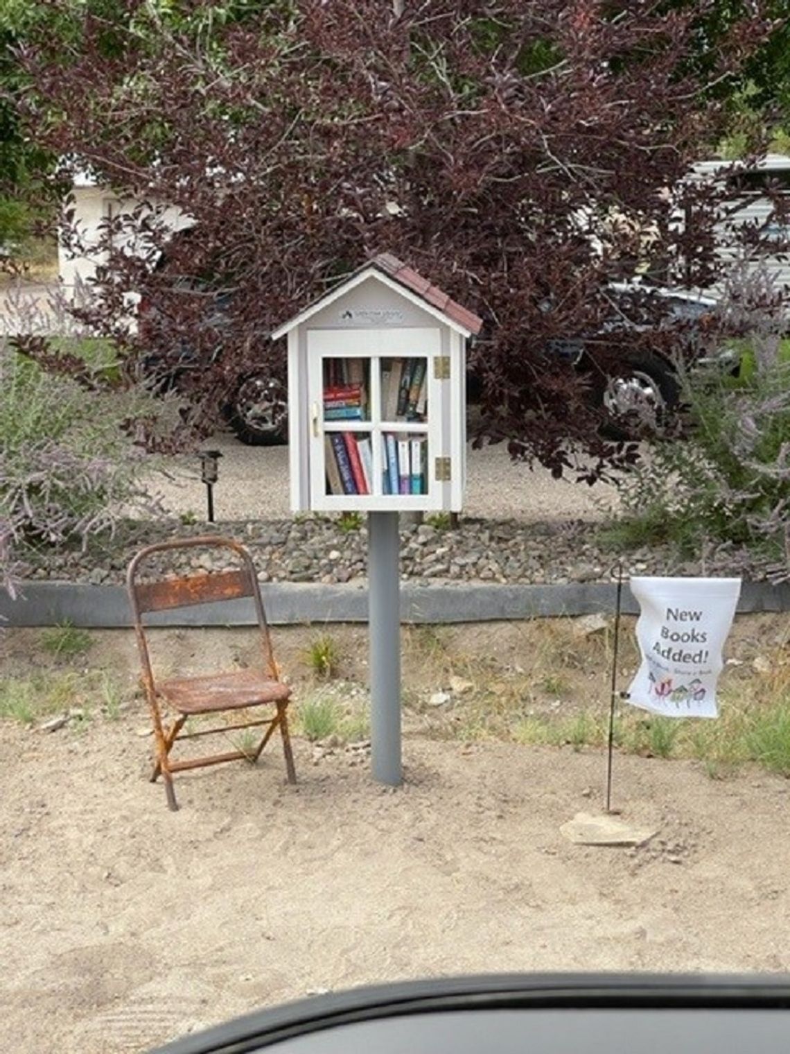 Little Free Libraries Popping up Everywhere