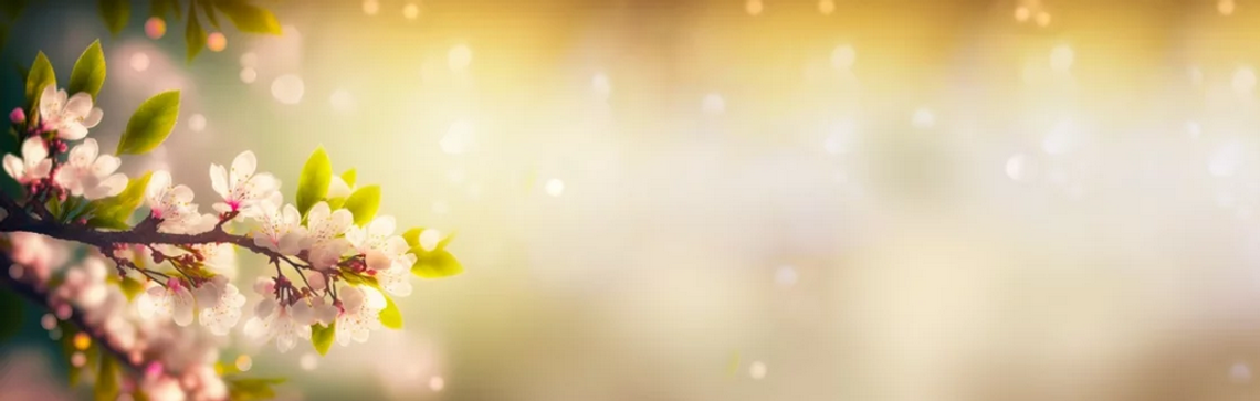 Maine Street Mile Madness