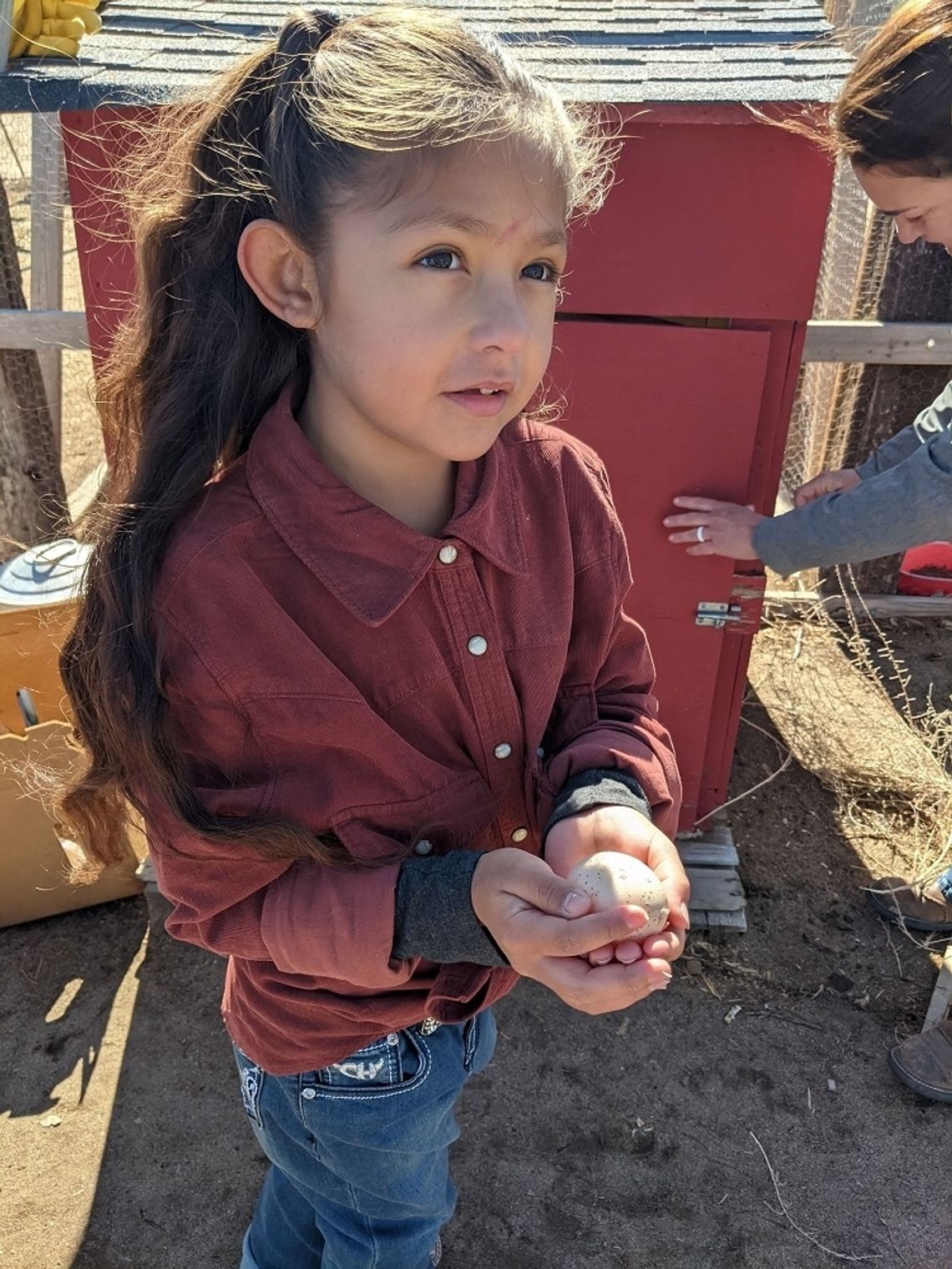 Make-A-Wish Fallon Farming Style