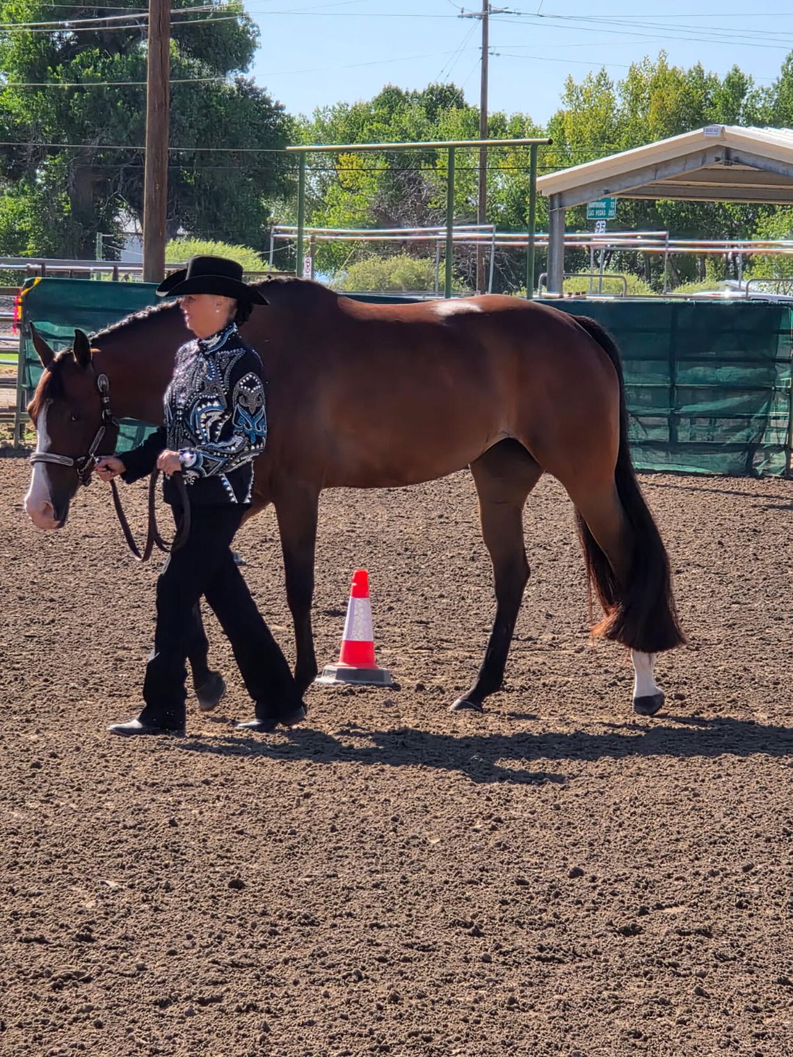 Nevada Paint Horse Club Hosts Two-Day Show in Fallon
