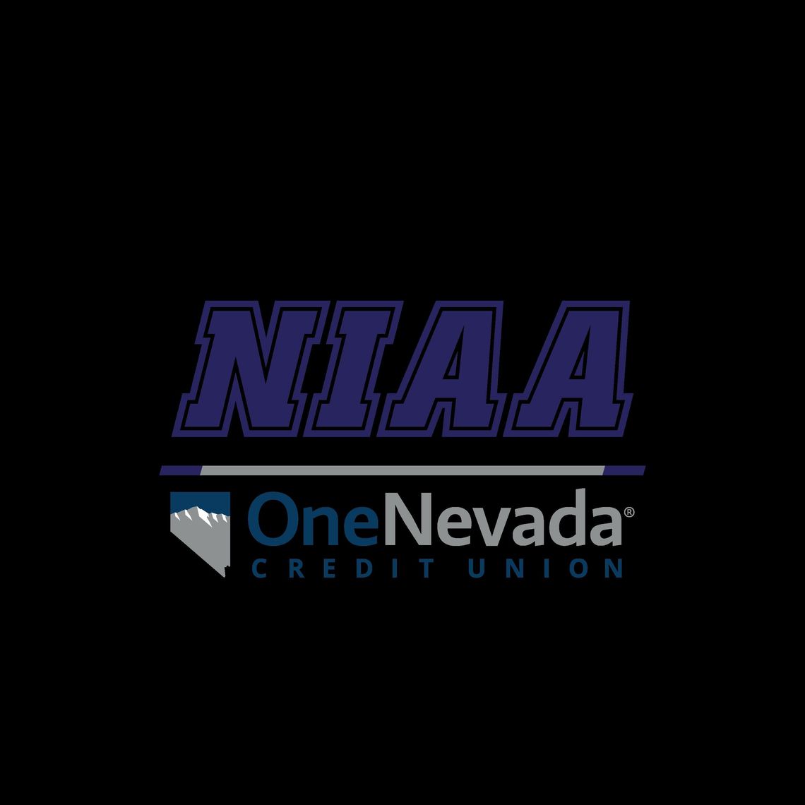 NIAA removes Fallon softball from regional tournament after declaring players ineligible