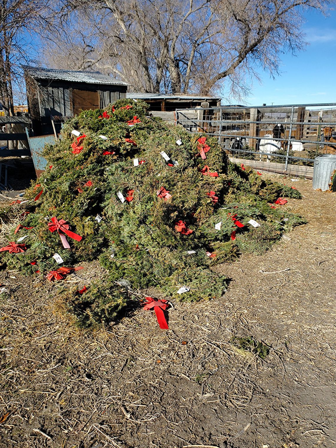NNVMC Wreaths Recycling Program Flourishing with Help from High Desert Grange 