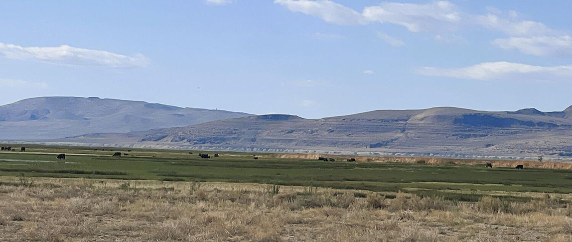 Ranchers Push Back as NDOW Nearly Doubles Carson Pasture Grazing Fees