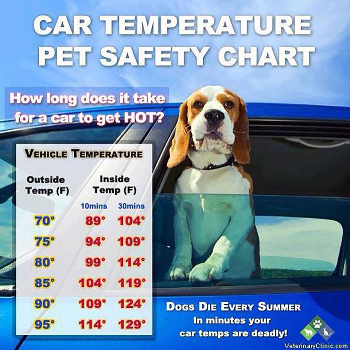 Remember to Protect Your Pets in the Heat