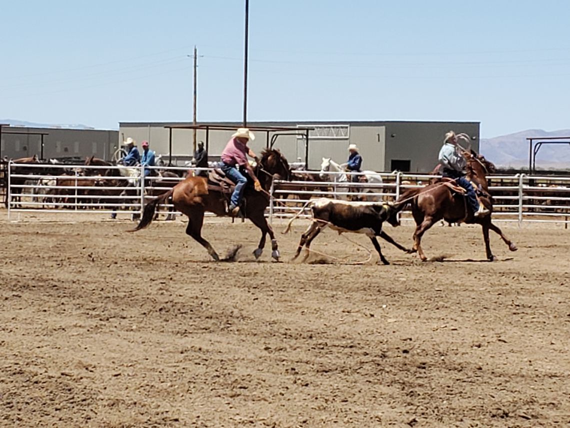 Team Roping event draws 600 teams