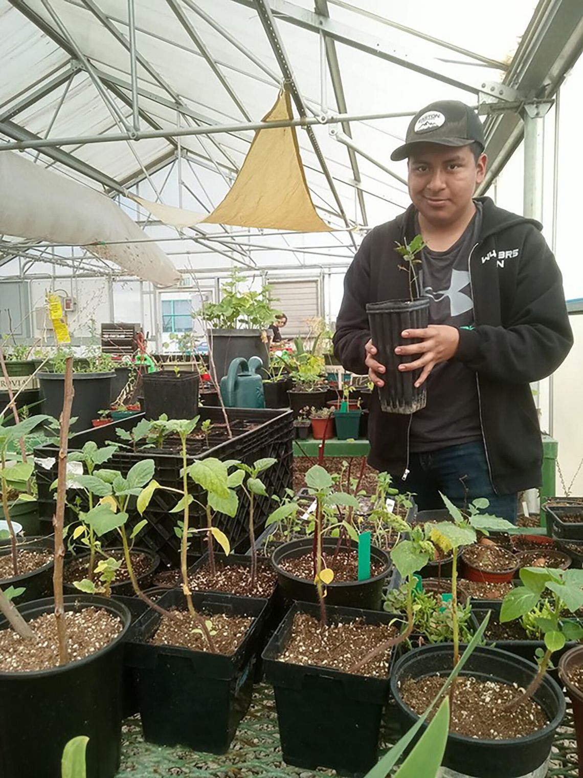 The Greenwave Plant Corner The Greenwave Plant Corner