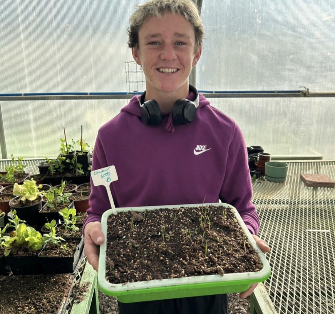 The Greenwave Plant Corner