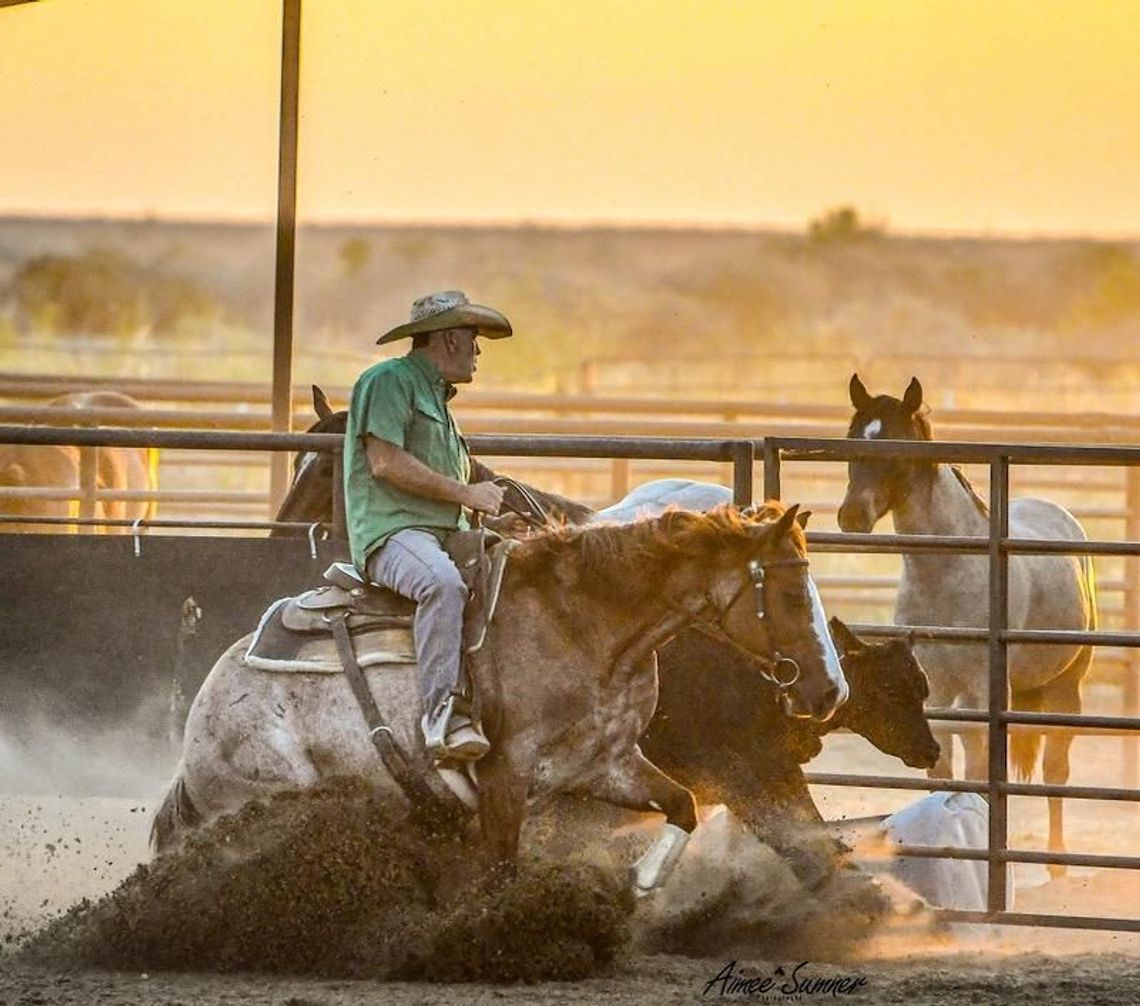 The Life of a Cow Horse