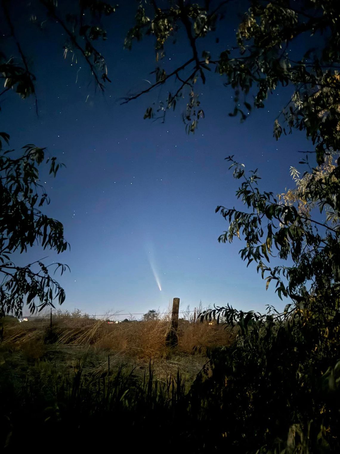 The Once-in-80,000-Year Arrival of Atlas Comet Light’s Up Fallon’s Night Sky