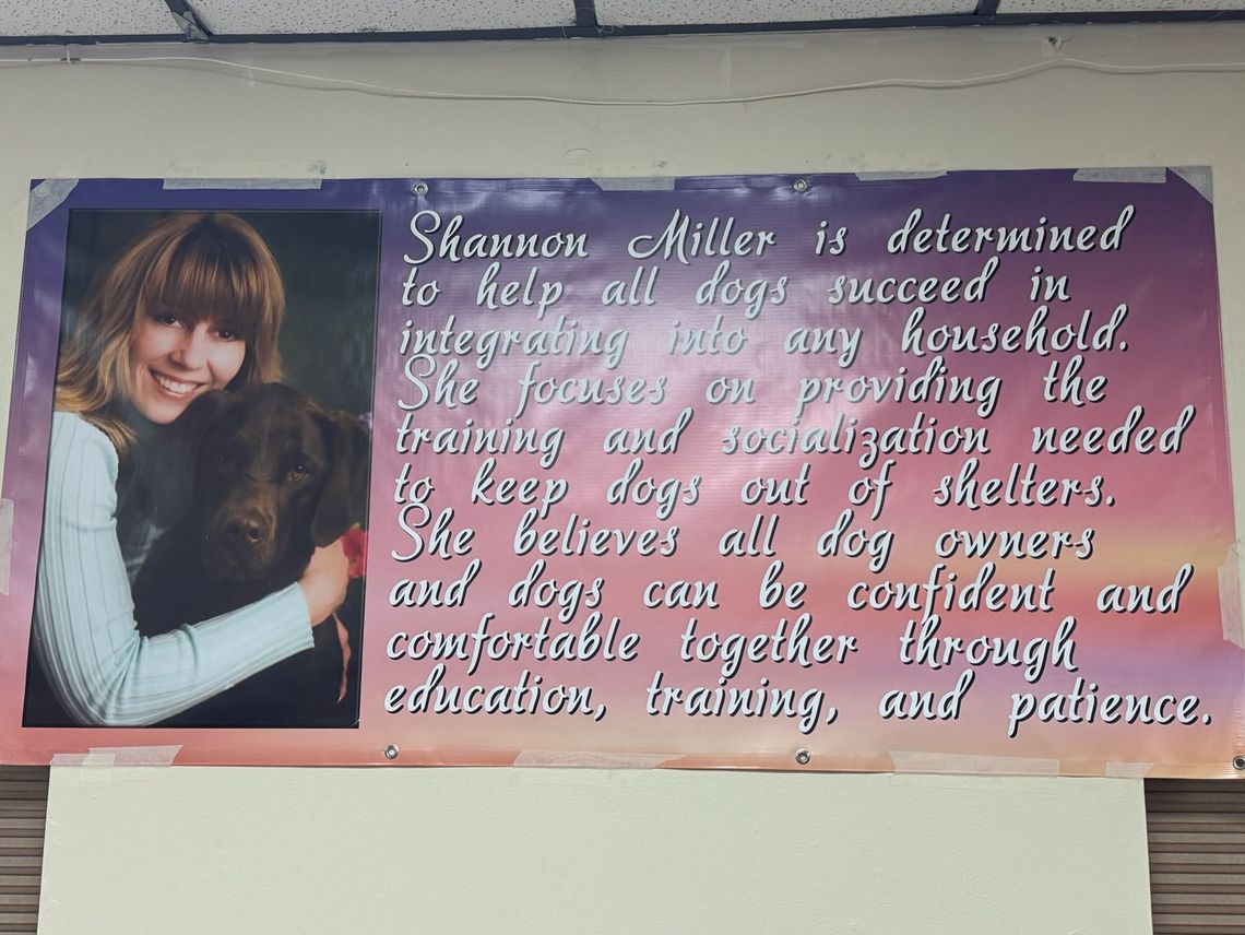Tired, Happy Dogs Maggie’s Playhouse Says Goodbye