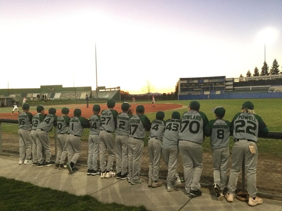 Travel Ball—Under the lights