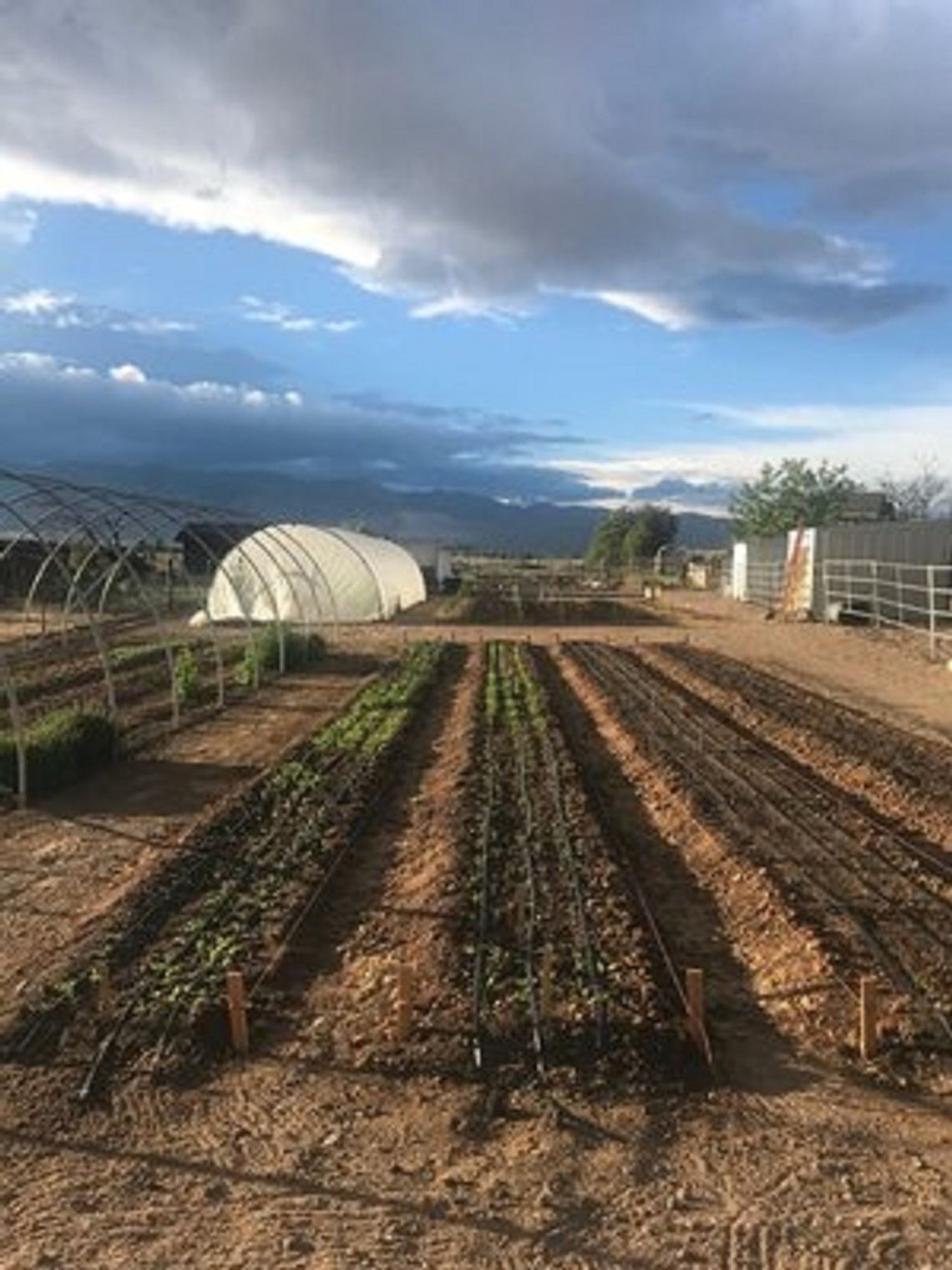 Yellow Petal Flower Farm – New Agritourism Facility