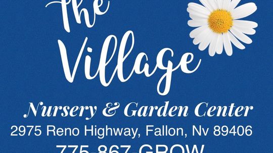 The Village Garden Center