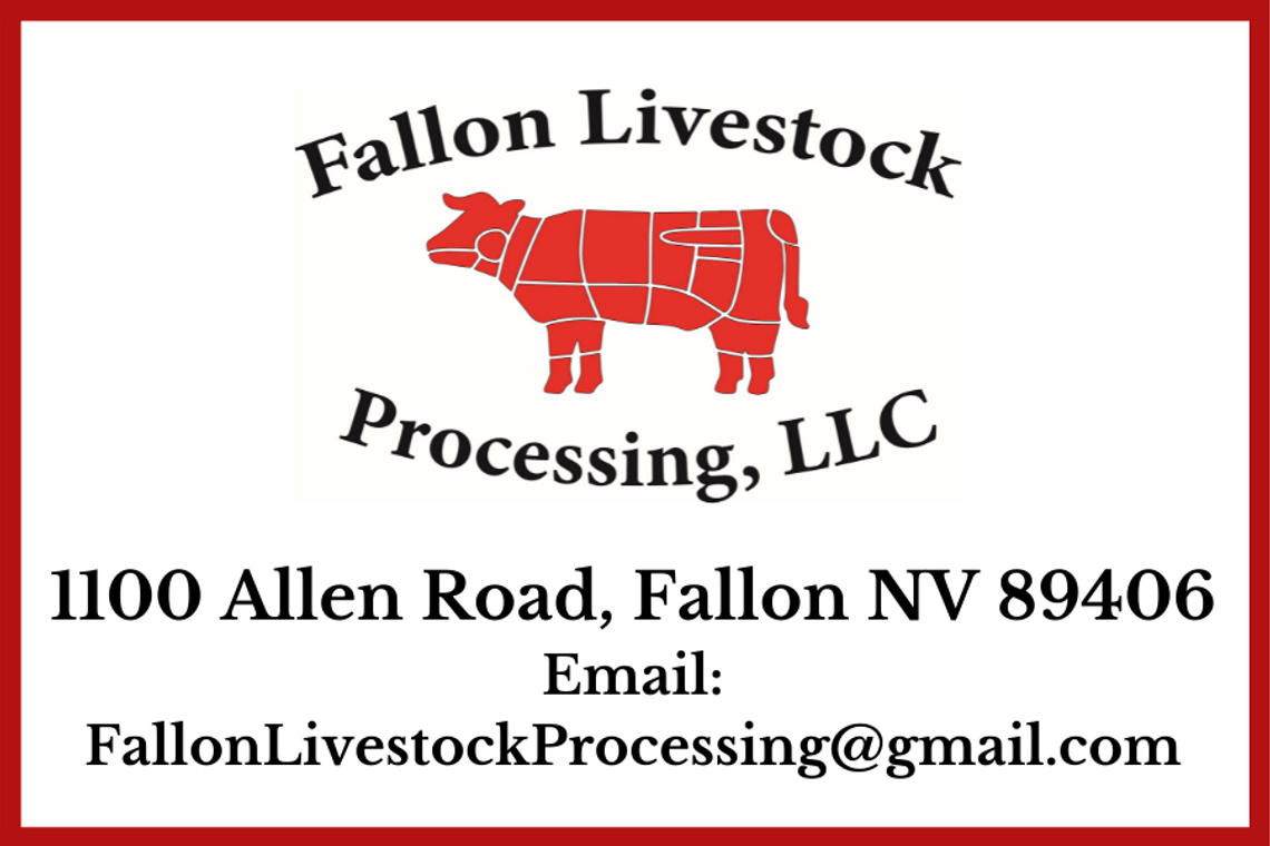 Fallon Livestock Processing