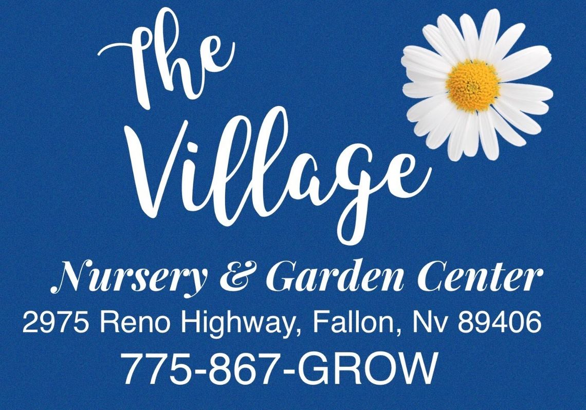 The Village Garden Center