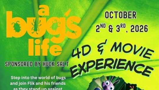 A Bug’s Life 4D & Movie Experience
