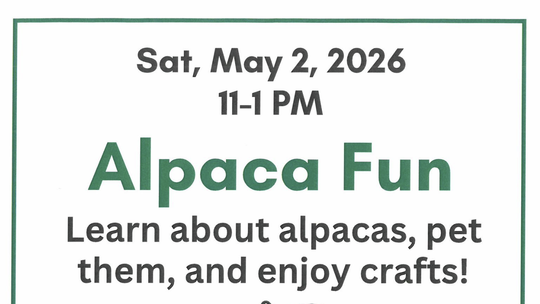 Alpaca Fun