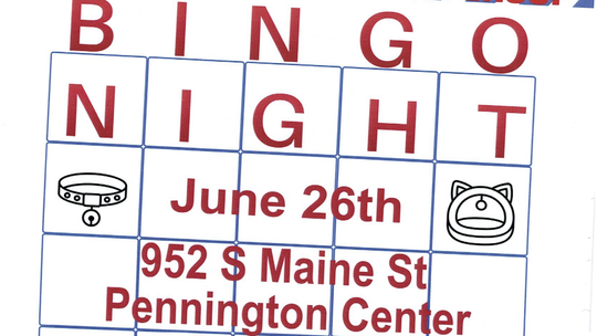 Bingo Night