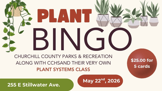 Plant Bingo