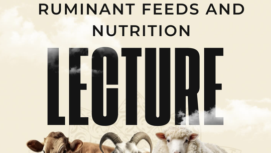 Ruminant Feeds and Nutrition Lecture