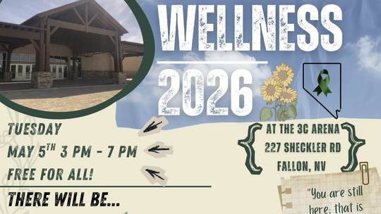 Wellness 2026