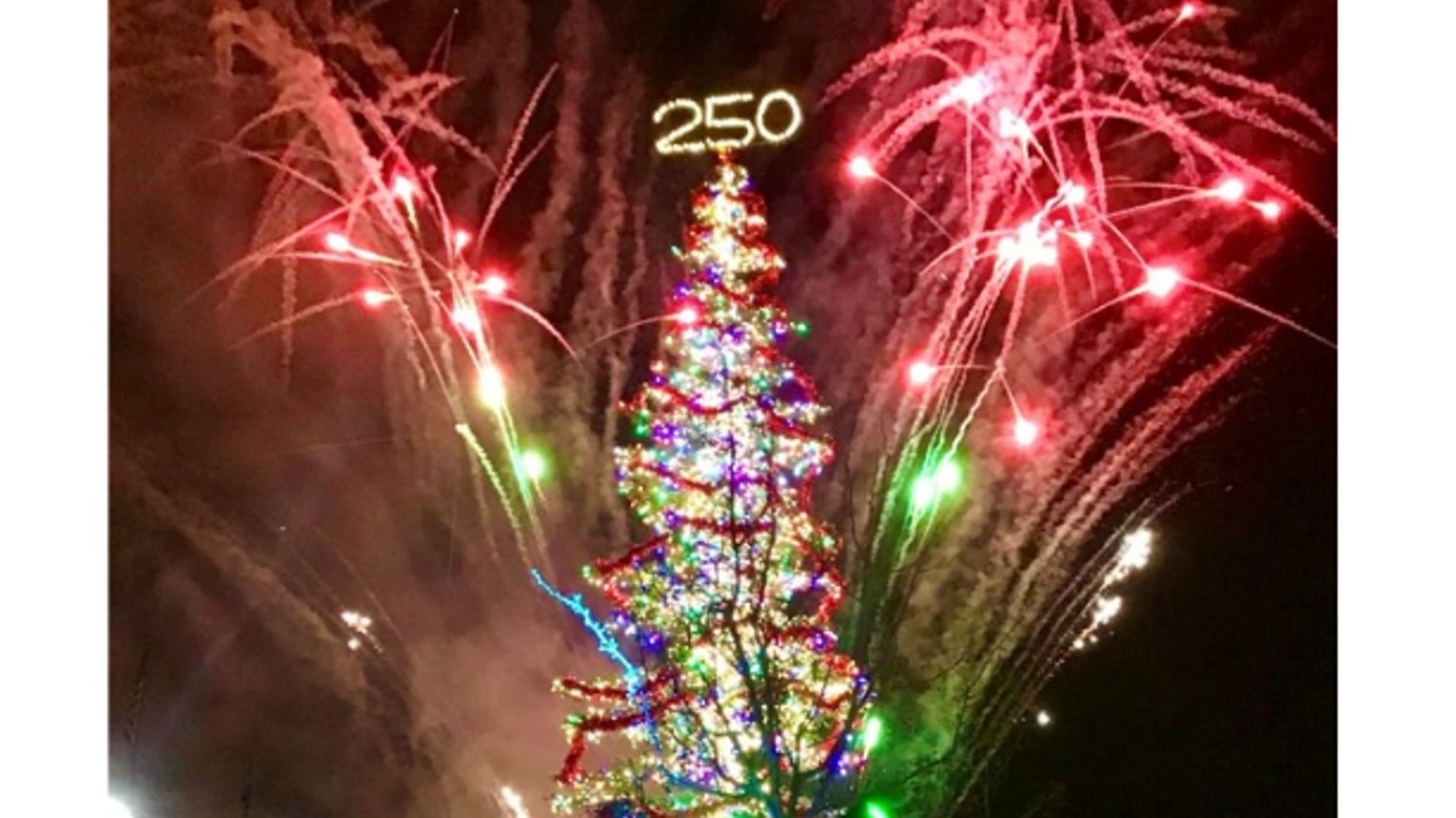 Tree Column Station Fallon Christmas Tree Lighting