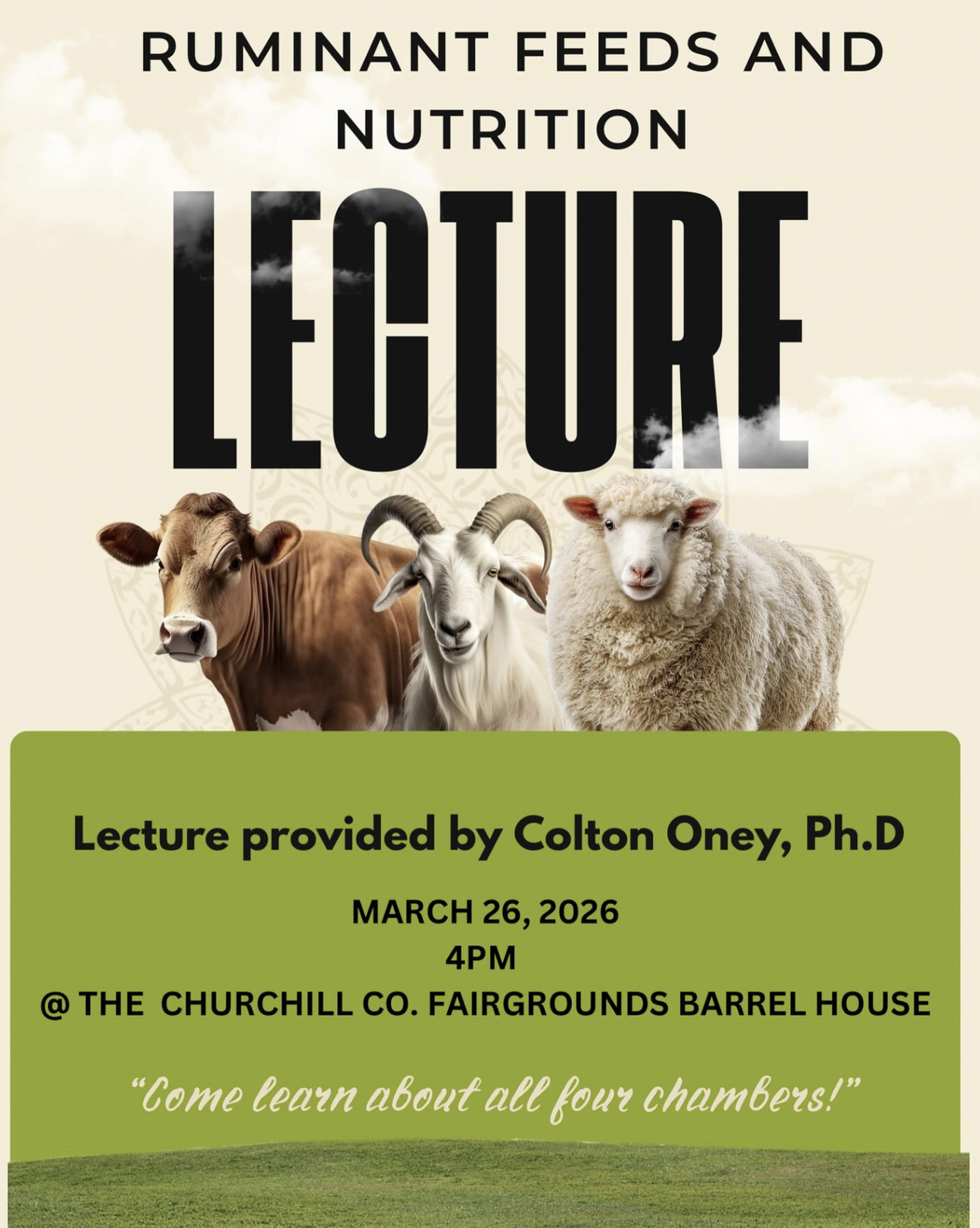 Ruminant Feeds and Nutrition Lecture Ruminant Feeds and Nutrition Lecture