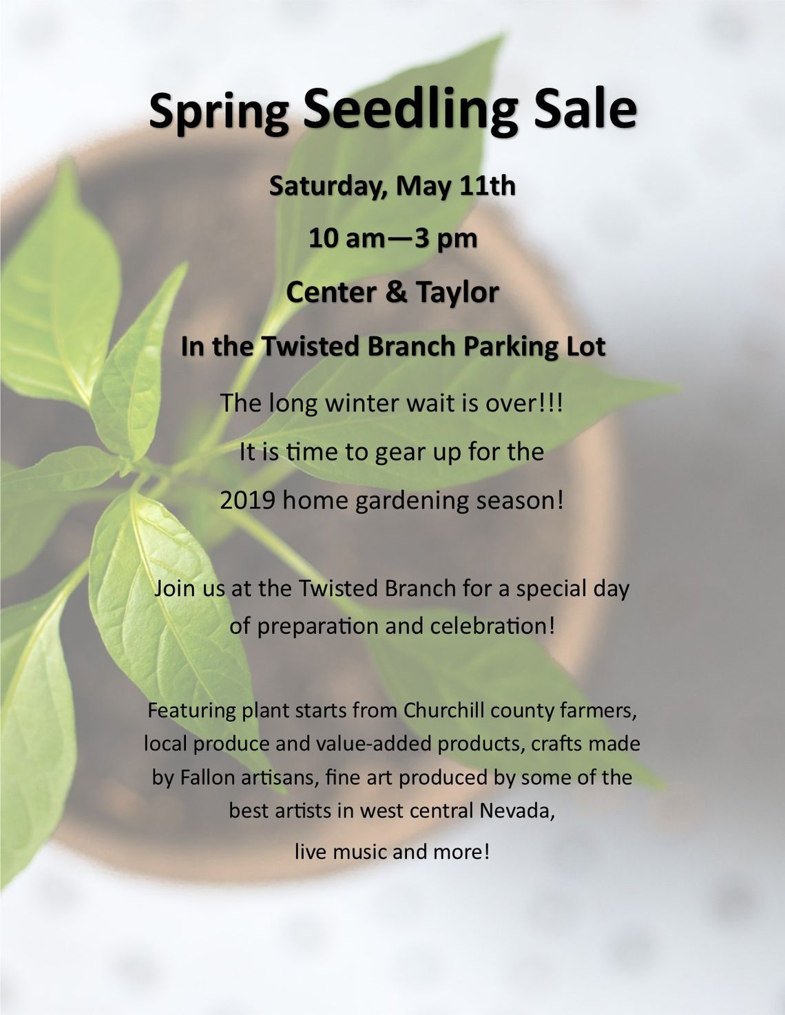 Spring Seedling Sale – Fallon Food Hub