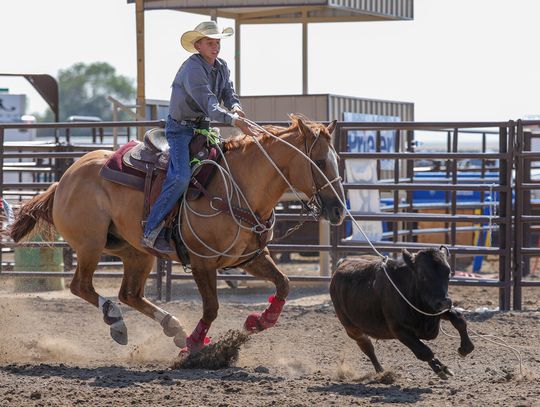 Damon Edgemon calf roping.