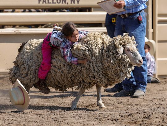 Timberly Glover mutton busting.
