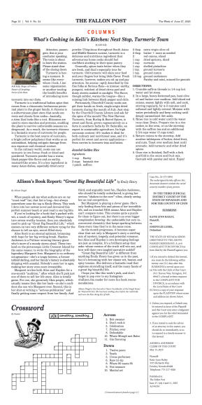 June 27, 2025 -When the Lights Went Out in Fallon  - page 12