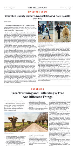 July 4, 2025 -Fallon Gears Up for a “Bee-autiful”  - page 9