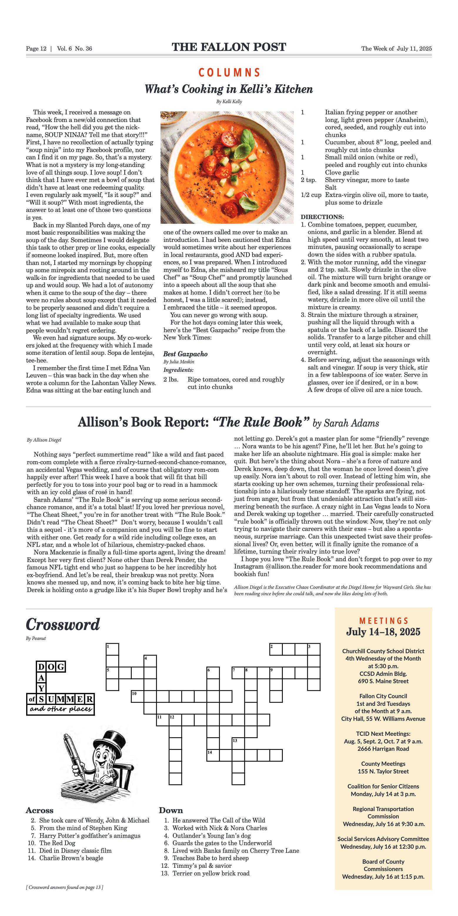 July 11, 2025 - TCID Confronts $1.8 Million Shortf - page 12