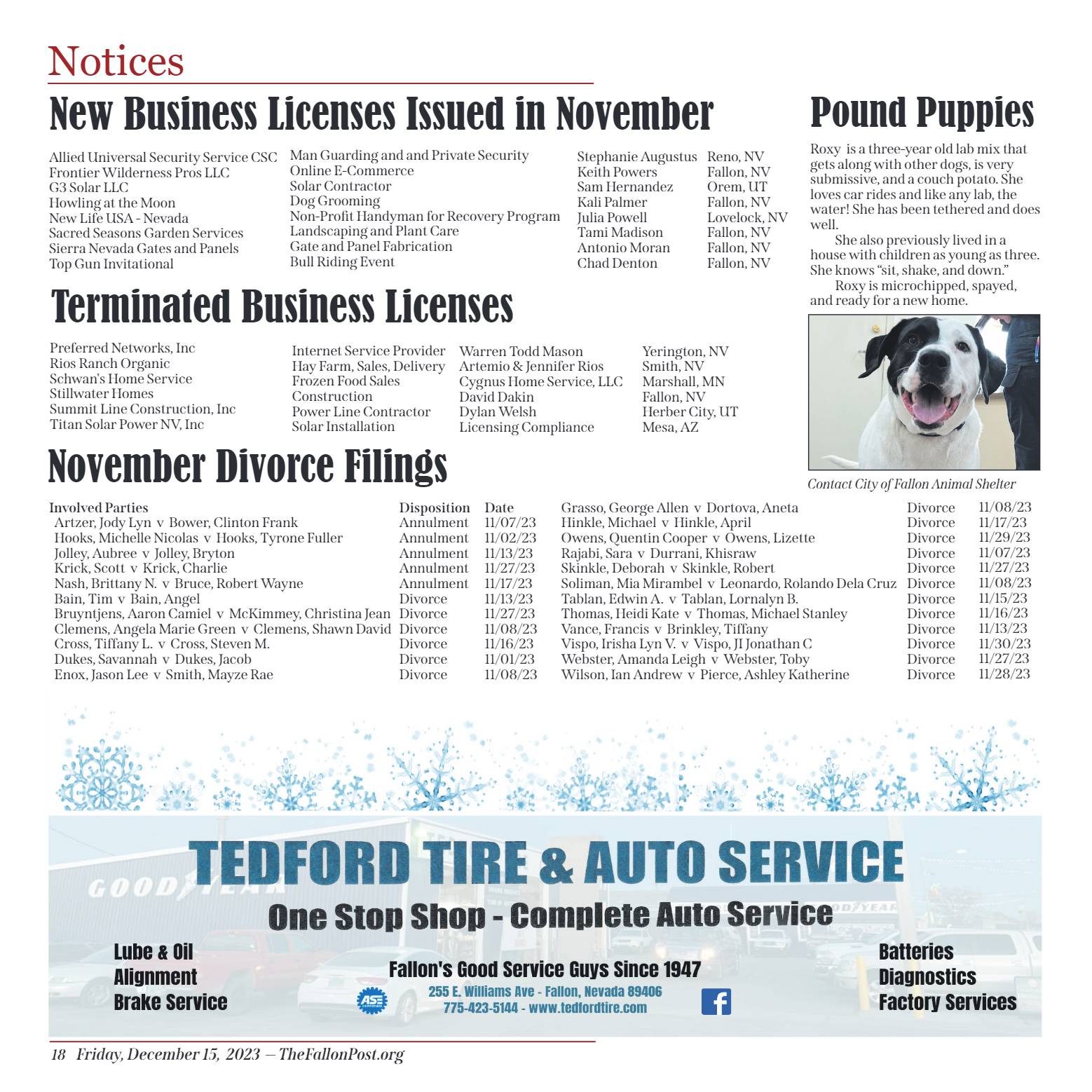 December 15 - Tisdale JOP Pro Tem - page 18